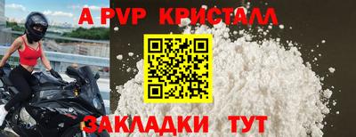 стафф Брянск