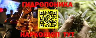 спиды Боровичи