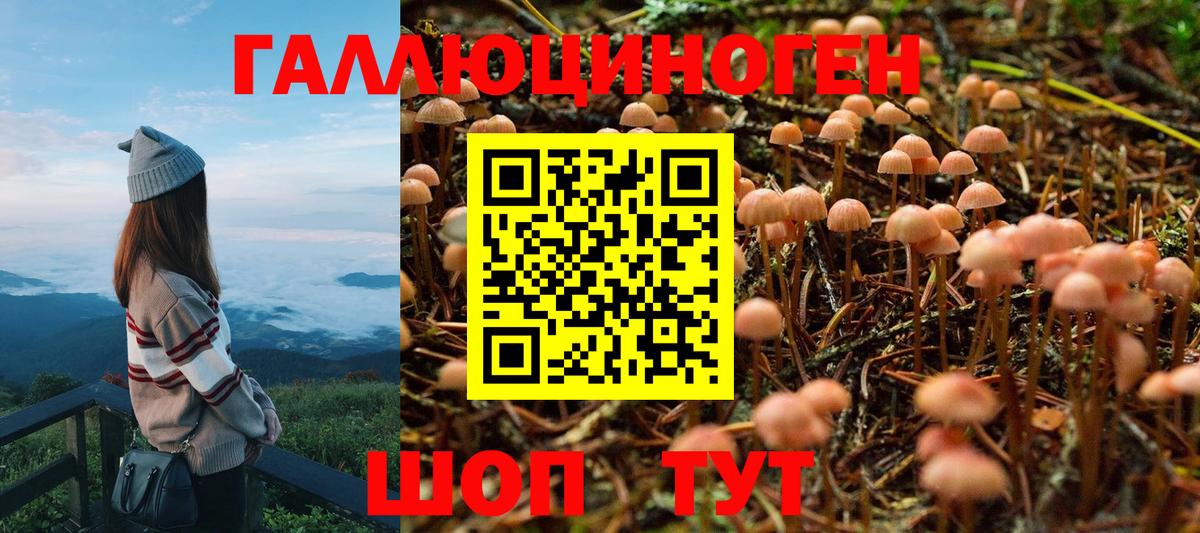 Псилоцибиновые грибы Psilocybine cubensis  Вход с VPN  Великие Луки 